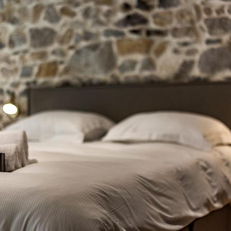 リヨンLe Duplex Des Pentes Ailアパートメント エクステリア 写真